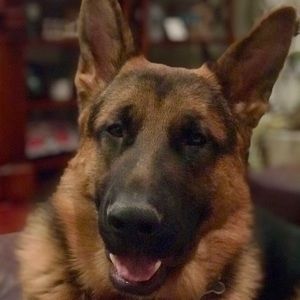 Meet your Posher, Stacy